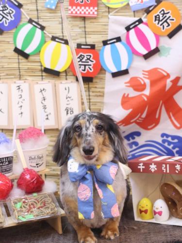 20240713シャーロットちゃん